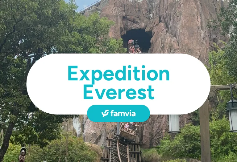 Expedition Everest