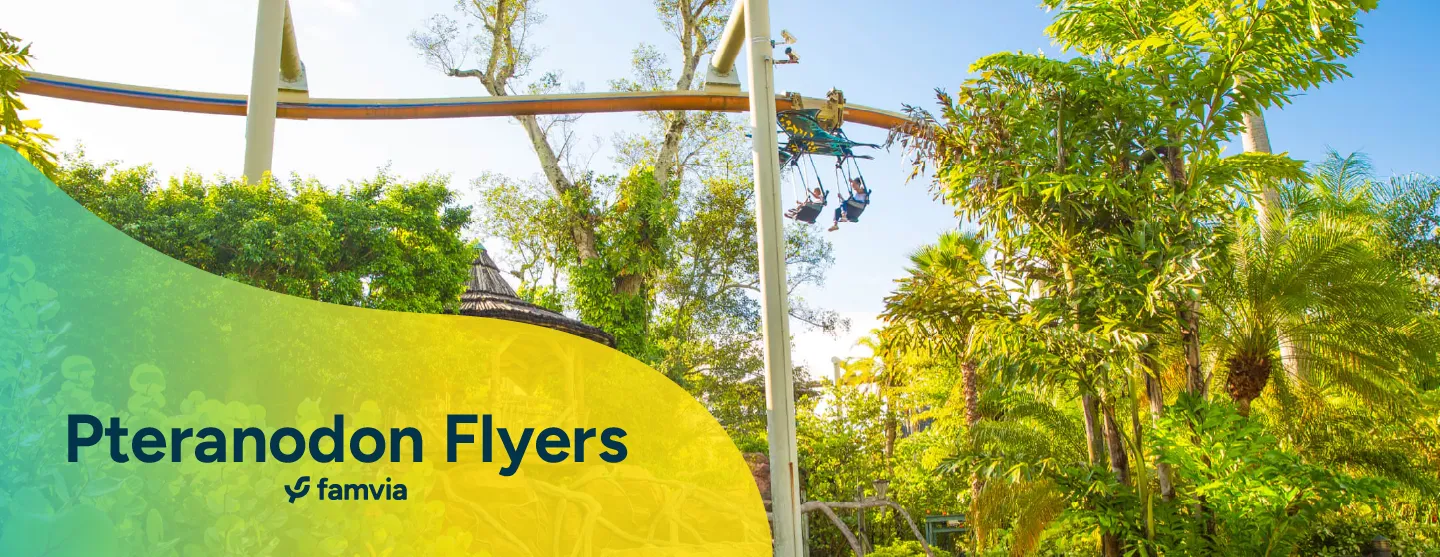 Pteranodon Flyers