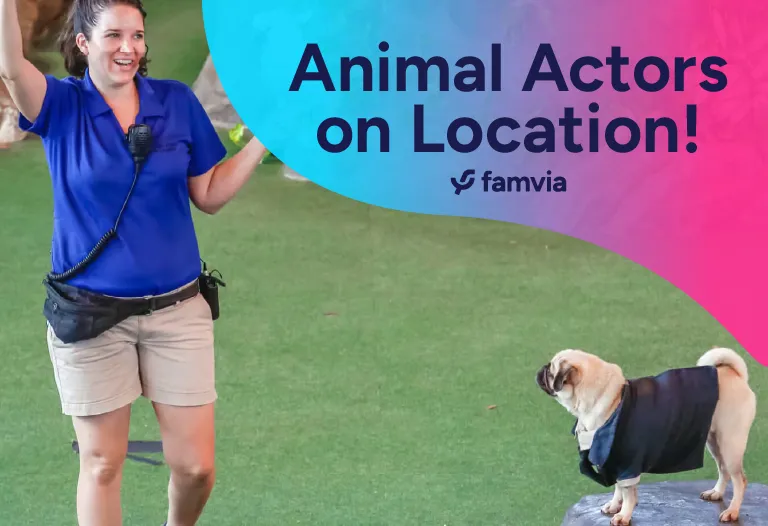 Animal Actors on Location!