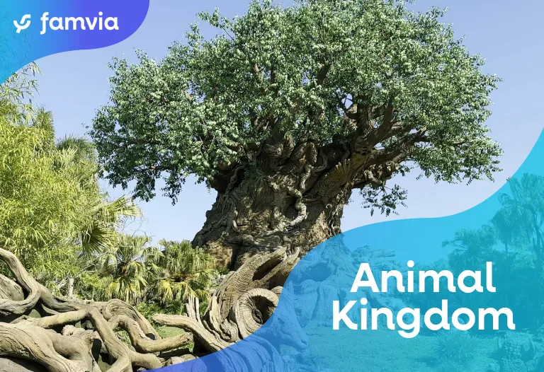 Animal Kingdom