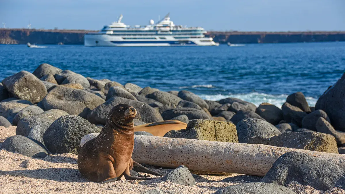 Celebrity_Cruises_galapagos_cruise_420f9f854f.webp