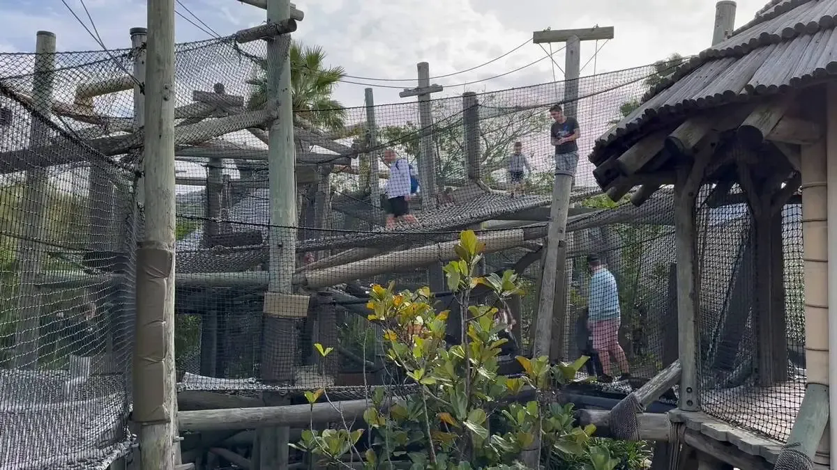 Islands_of_Adventure_Camp_Jurassic_rope_bridges_e02e0ce224-1.webp