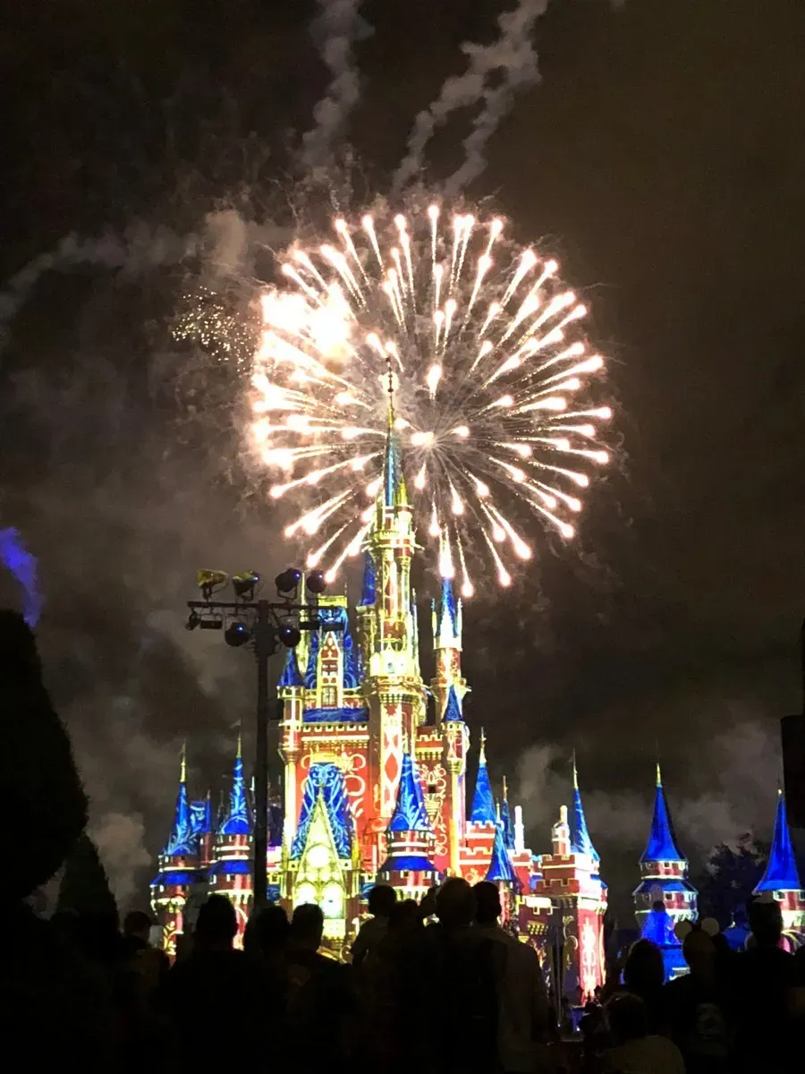 Magic_Kingdom_Happily_Ever_After_show_57d35590be.webp