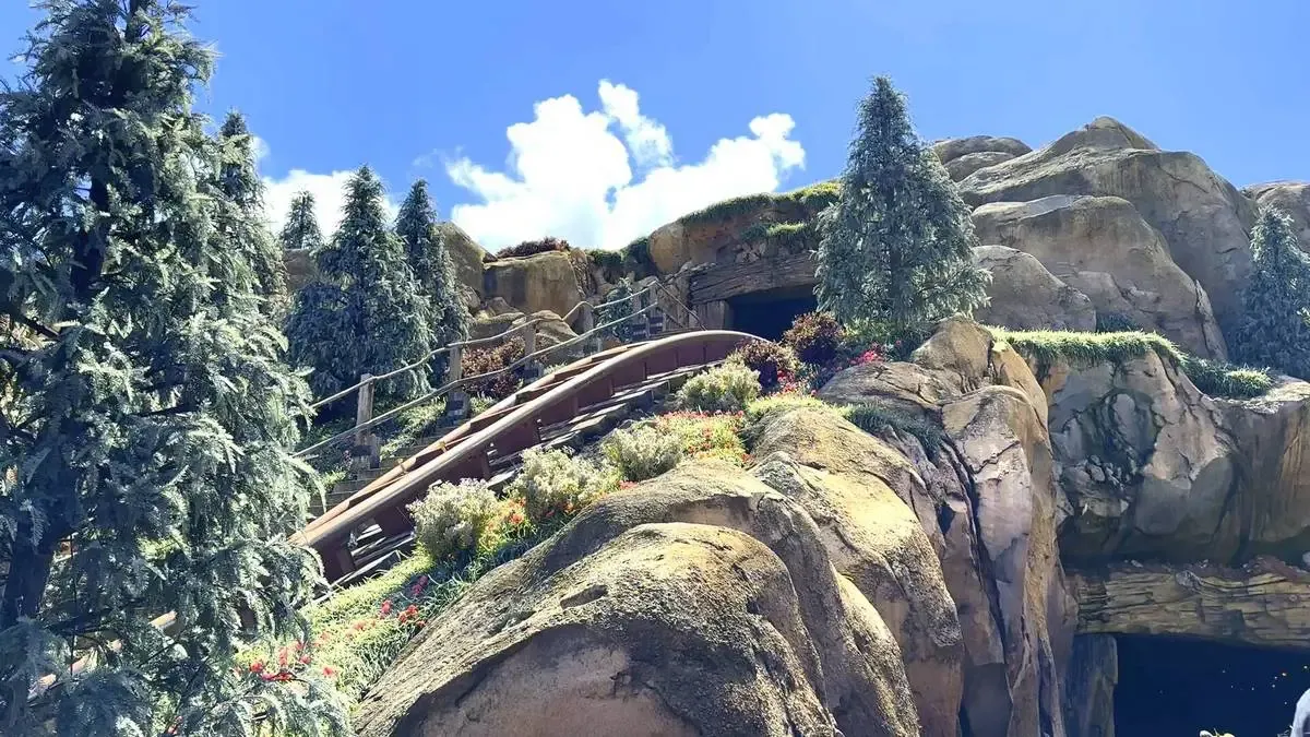 Magic_Kingdom_Seven_Dwarfs_Mine_Train_track_1b4e705b91-1.webp